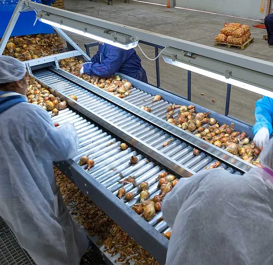 Fábrica con bandas transportadoras